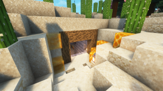 Bee Farm